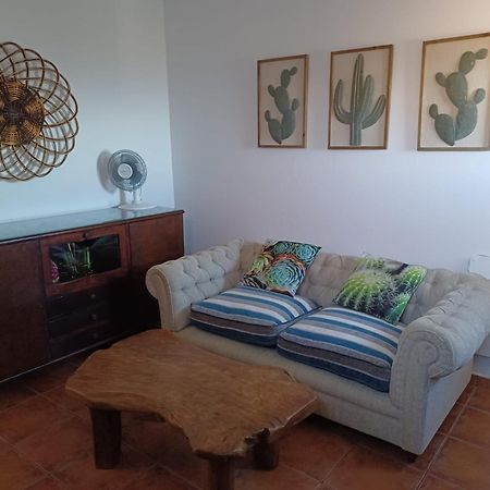 Casapancho 1 Y 2 - Casa Rural - Fasnia - Tenerife المظهر الخارجي الصورة