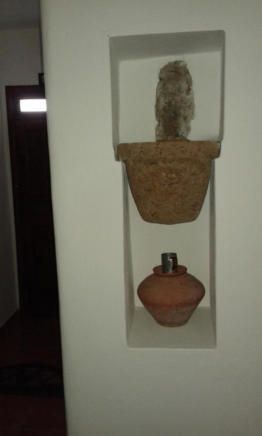 Casapancho 1 Y 2 - Casa Rural - Fasnia - Tenerife المظهر الخارجي الصورة