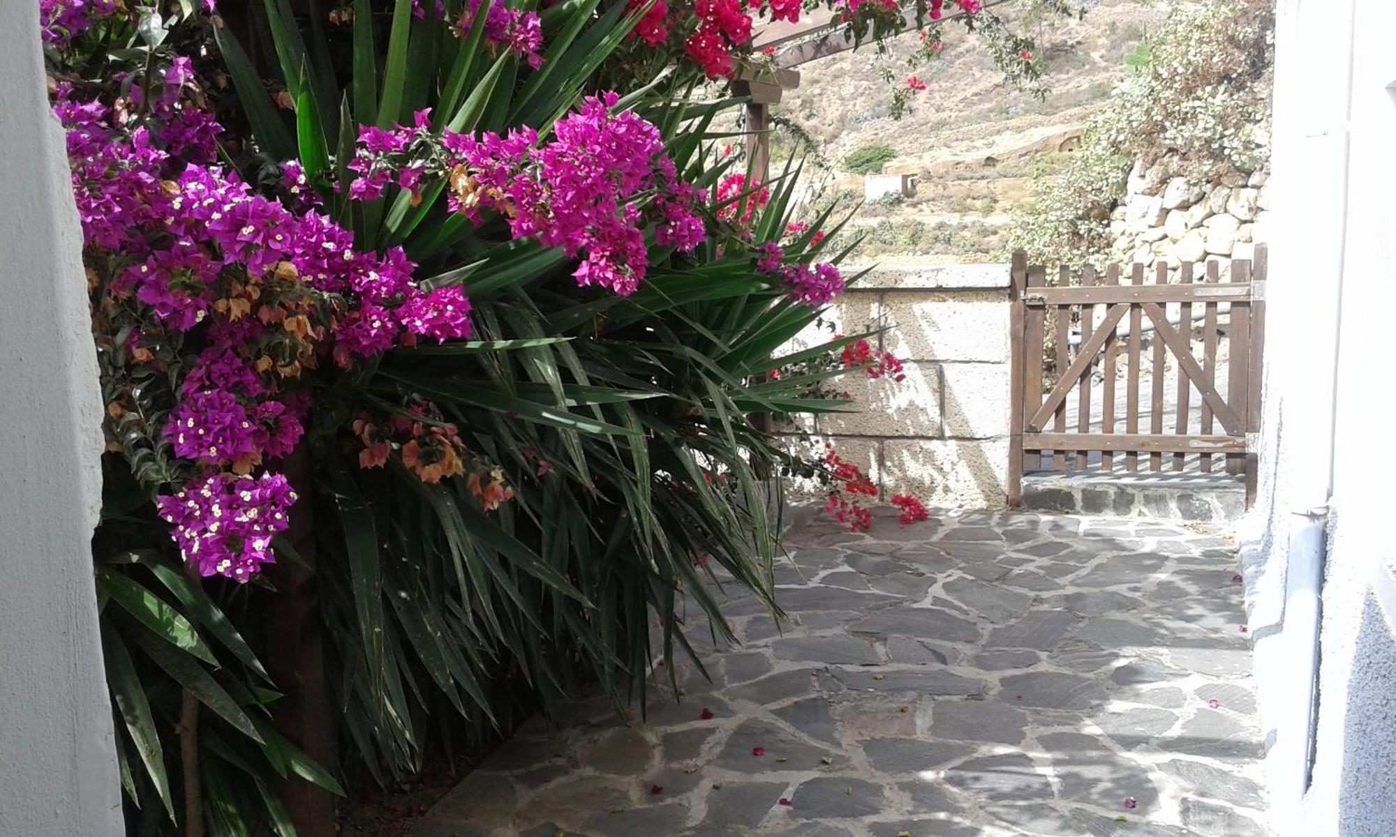 Casapancho 1 Y 2 - Casa Rural - Fasnia - Tenerife الغرفة الصورة